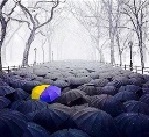 соціальний аспект