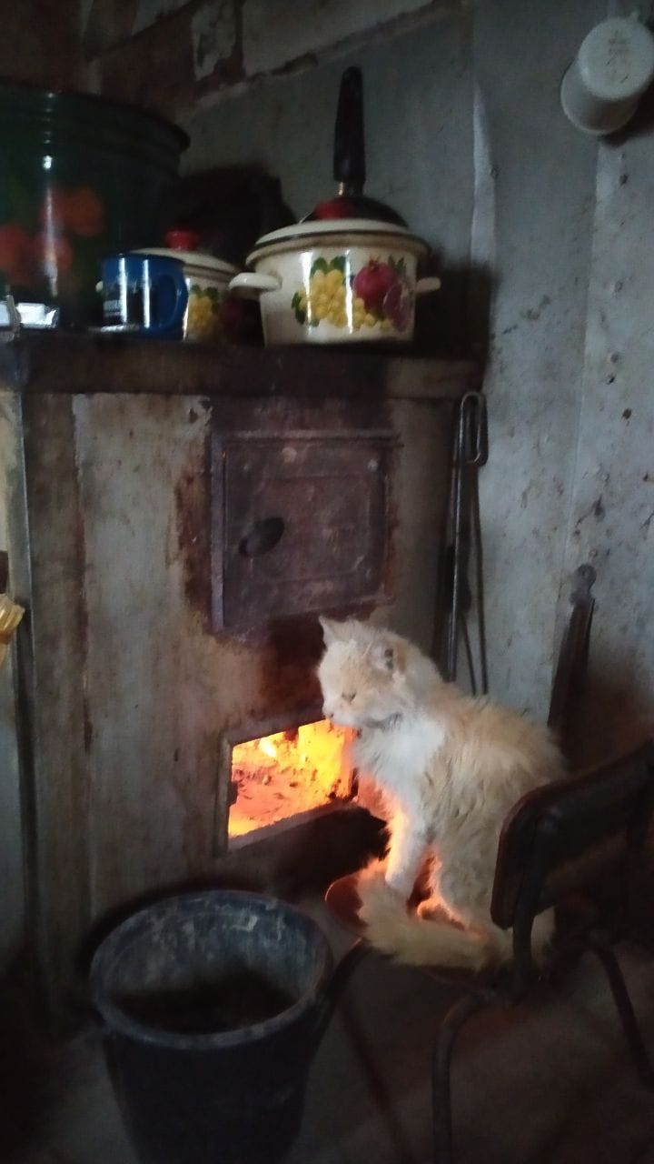 побут В.Павлюка 2022-23